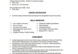 Resume Samples for Business Analyst Entry Level 8 Business Analyst Resumes Free Sample Example format