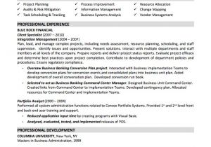Resume Samples for Business Analyst Entry Level Entry Level Business Analyst Resume Printable Planner