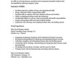 Resume Samples for Business Analyst Entry Level Resume Business Analyst Entry Level Free Professional