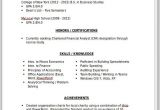 Resume Samples for Business Analyst Entry Level Sample Resume for Business Analyst Entry Level Free