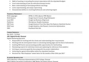 Resume Samples for Experienced Marketing Professionals Resume format Of An Entry Level Digital Marketing Professional