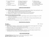 Resume Samples for Experienced Professionals Free Download Professional Resume Template Download Schedule Template Free