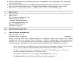 Resume Samples for Faculty Positions Resume for Faculty In Engineering College Resume Ideas