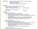 Resume Samples for Faculty Positions Sample Preschool Teacher Resume Objective
