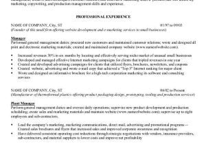 Resume Samples for It Company 54 Manager Resumes In Pdf Free Premium Templates