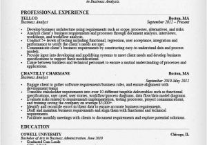 Resume Samples for It Company Business Analyst Resume Sample Writing Guide Rg