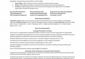 Resume Samples for Self Employed Individuals Resume Samples for Self Employed Individuals Lovely Sample
