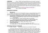 Resume Samples for Self Employed Individuals Resume Samples for Self Employed Individuals Luxury Sample