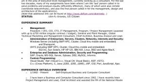 Resume Samples for Self Employed Individuals Resume Samples for Self Employed Individuals Luxury Sample