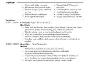Resume Samples for Server Position Server Resume Example Restaurant Bar Sample Resumes