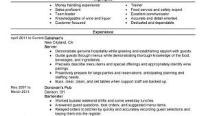 Resume Samples for Server Position Servers Resume Examples Free to Try today Myperfectresume