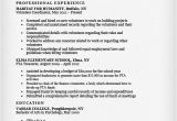 Resume Samples for Stay at Home Moms Stay at Home Mom Resume Sample Writing Tips Resume