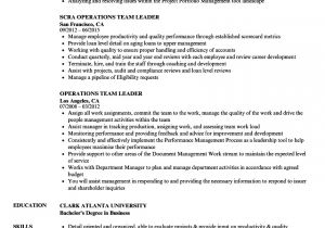 Resume Samples for Team Leader Position Operations Team Leader Resume Samples Velvet Jobs