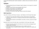 Resume Samples for Team Leader Position Professional Call Center Team Leader Templates to Showcase