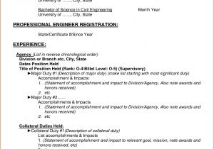 Resume Samples Pdf Curriculum Vitae Samples Pdf Template Resume Builder