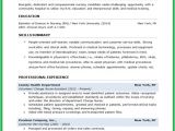 Resume Skills for Students 20 Best Nursing Portfolio Images On Pinterest Nursing