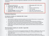 Resume Skills Sample 20 Skills for Resumes Examples Included Resume Companion