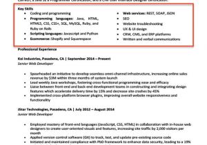 Resume Skills Sample Resume Key Skills Section 20 Skills for Resumes