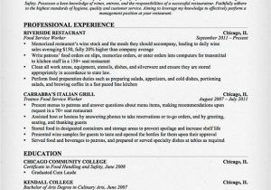 Resume Skills Sample Resume Skills Section 250 Skills for Your Resume