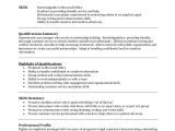 Resume Summary Examples for It Professionals 8 Resume Summary Examples Pdf Word