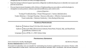 Resume Summary Examples for It Professionals It Professional Resume Sample Monster Com