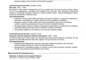 Resume Summary Examples for It Professionals It Resume Sample Professional Resume Examples topresume
