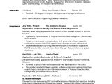 Resume Summary Examples for It Professionals Professional Resume Summary 2016 Samplebusinessresume