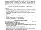 Resume Summary Examples for It Professionals Professional Resume Summary 2016 Samplebusinessresume
