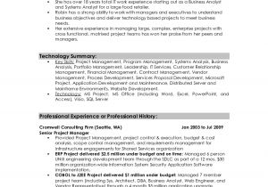 Resume Summary Examples for It Professionals Professional Summary Resume Examples Professional Resume