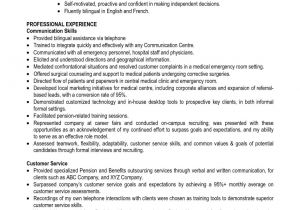 Resume Summary Examples for Students Good Sample for First Examples 1st Inside Of One Kairo