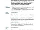 Resume Summary Examples for Students Professional Resume Template Cover Letter for Ms Word