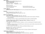 Resume Summary Examples for Students Sample Resume for College Student 10 Examples In Word Pdf