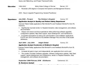 Resume Summary for It Professional Professional Resume Summary 2016 Samplebusinessresume