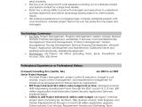 Resume Summary for It Professional Professional Summary Resume Examples Professional Resume