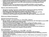Resume Summary for It Professional Project Manager Resume Summary Ipasphoto