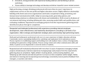 Resume Summary for It Professional Sample Resume Summary Statement 9 Examples In Word Pdf