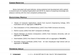 Resume Summary Samples for It Professionals 13 Best Of Resume Summary Samples for It Professionals