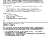 Resume Summary Samples for It Professionals 13 Best Of Resume Summary Samples for It Professionals