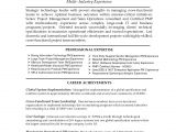 Resume Summary Samples for It Professionals 14 New Sample Resume Summary Statements Resume Sample