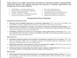 Resume Summary Samples for It Professionals 9 Professional Summary Examples Samplebusinessresume Com