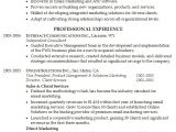 Resume Summary Samples for It Professionals Professional Summary for Resume Whitneyport Daily Com