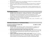 Resume Summary Samples for It Professionals Professional Summary Resume Examples Professional Resume