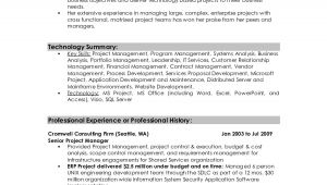 Resume Summary Samples for It Professionals Professional Summary Resume Examples Professional Resume