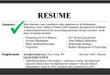 Resume Summary Samples Resume Summary Examples