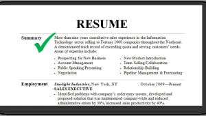 Resume Summary Samples Resume Summary Examples