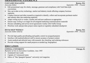 Resume Template Editor Best Buy Sales associate Resume Examples