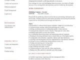 Resume Template Editor Classic Resume Template Template Business