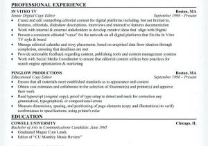 Resume Template Editor Copy Editor Resume Sample Best Resume Collection