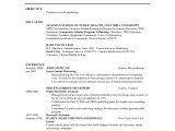 Resume Template for A Teenager Teenager Resume Free Excel Templates