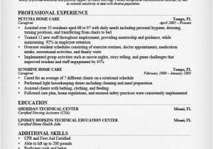 Resume Template for Caregiver Position Nanny Resume Sample Writing Guide Resume Genius